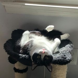 Meet your Posher, Jackie